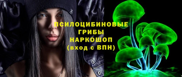 трава Осинники