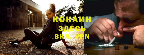 трава Осинники