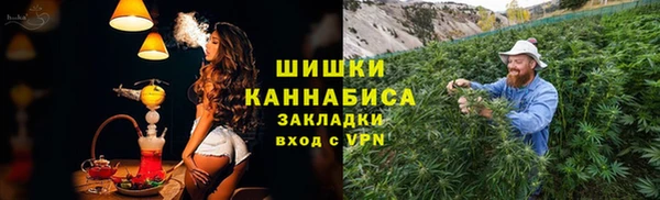 трава Осинники