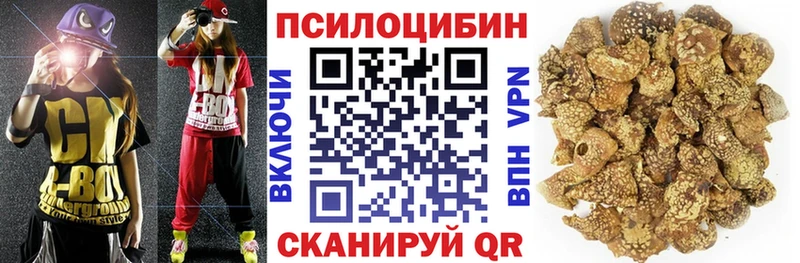 Галлюциногенные грибы Psilocybine cubensis  Сергач 